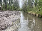 travaux sur les berges de la bionne 2