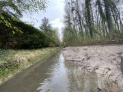 travaux sur les berges de la bionne 3