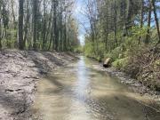 travaux sur les berges de la bionne 4