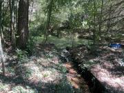 IMG2300-640x480