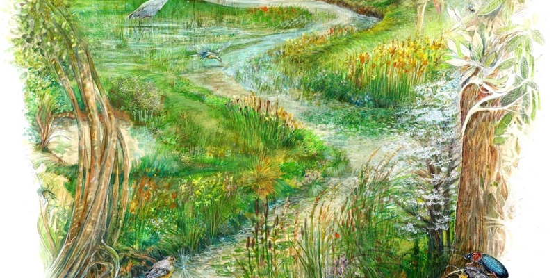 Niveau d'eau canal d'Orléans et cours d'eau 
