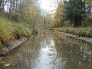 Rivière Bionne rectiligne