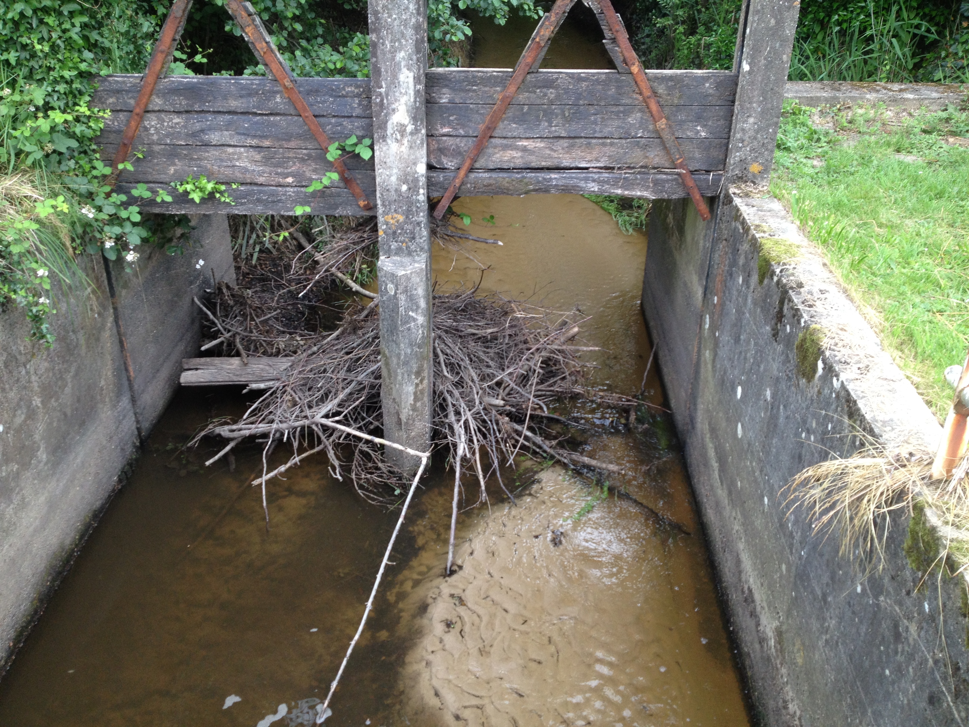 Amas de bois en amont du barrage de Gué bourdon à Ingrannes