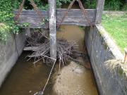 Amas de bois en amont du barrage de Gué bourdon à Ingrannes