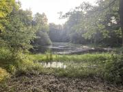 Etang-de-Blimer-2