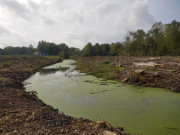 Une vue panoramique d'un paysage naturel marqué par une déforestation récente au bord d'un ruisseau calme, recouvert de lentilles d’eau.