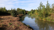 Un ruisseau large et aux écoulements lents serpente au milieu d’une végétation dégagé en rive gauche et dense en rive droite