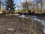 Maintien dans la mesure du possible de la végétation arborée et arbustive en berge