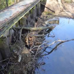 10 2022 - Suppression des ouvrages de l'Usage, de Monnaie, de Cropet et de la Petite Borde sur le cours d'eau du Cens