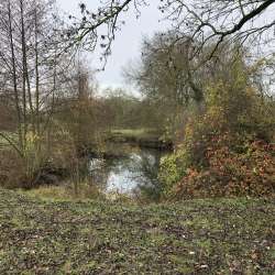 03 2019 - Restauration de l'Ivoirie et d'une mare sur la commune de Chécy